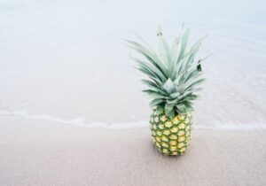 Ananasplant